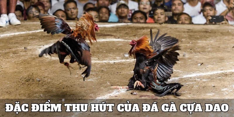 Đặc điểm thu hút khách hàng khi tham gia cược trên hệ thống