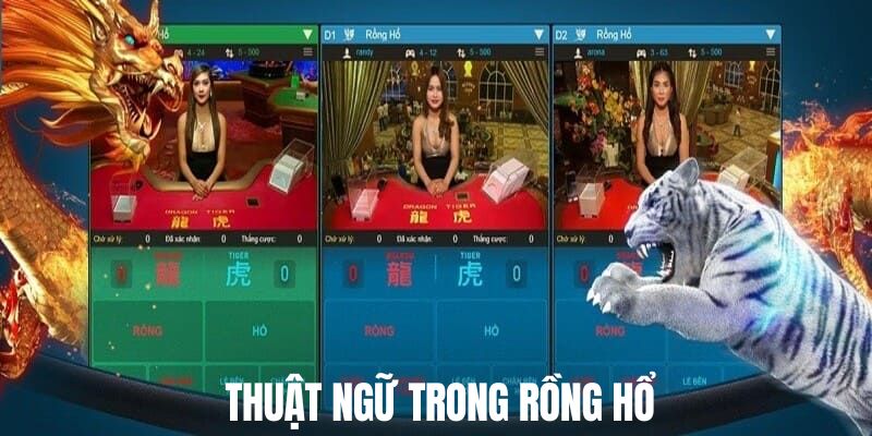 Những thuật ngữ làm quen trước khi vào game