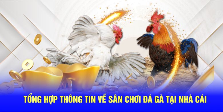 tong-hop-thong-tin-ve-san-choi-da-ga-tai-nha-cai